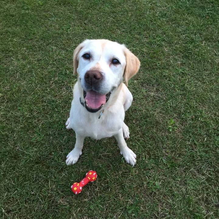 58912f14 7020 432d a416 7634a1516fe2