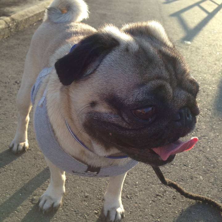 5891d912 db3e 491c 928b cc302334a531