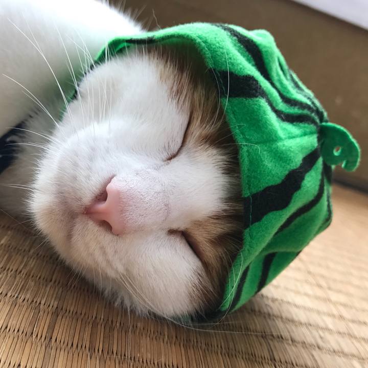 58931eda a3c5 40f0 9e3d e0521111af4b