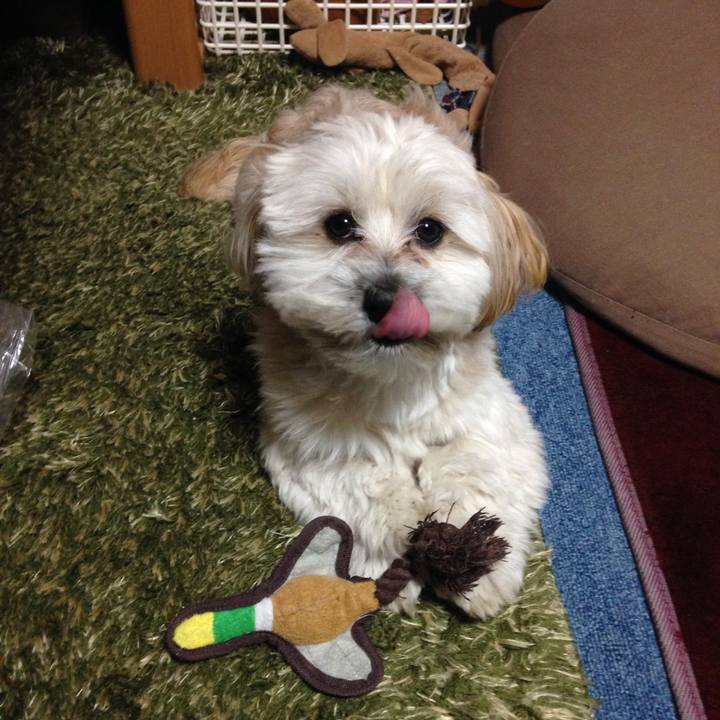 5893987a d0bd 41b4 9214 75c7239f38e6