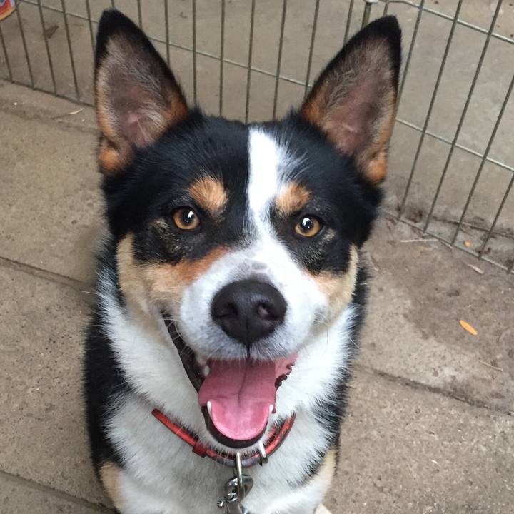 58943e72 a84e 44b5 a325 6a2c8fbdc83a