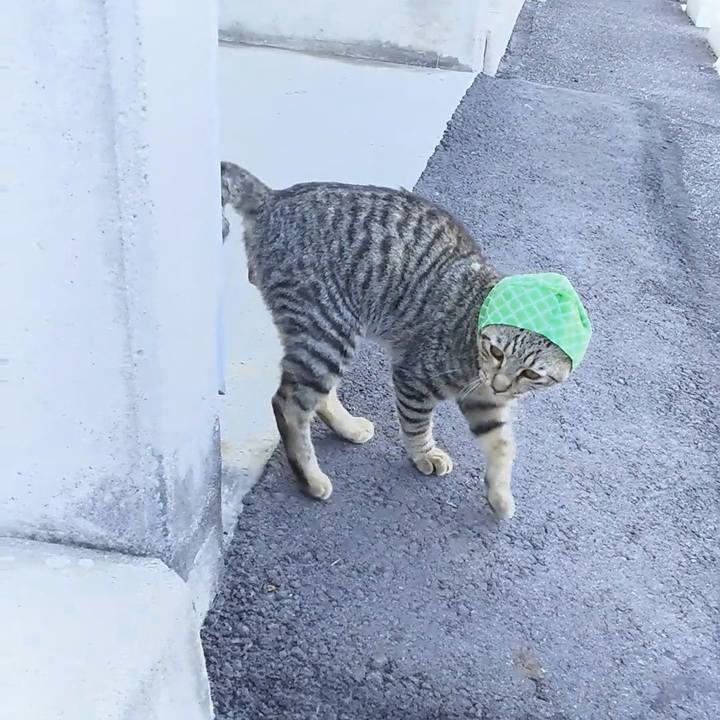 5894702e 2682 4704 97e7 a64f8859e93c