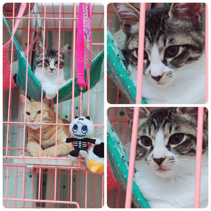 5895bb5f 709e 4e0e a967 83b7256992b0