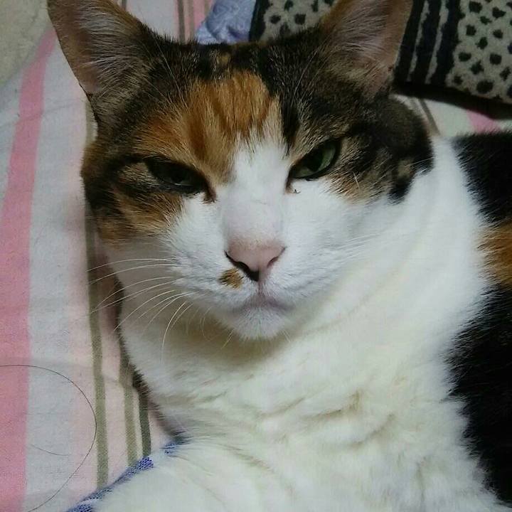 5895e5bc 2e1a 4bf9 aad7 c42a15540373