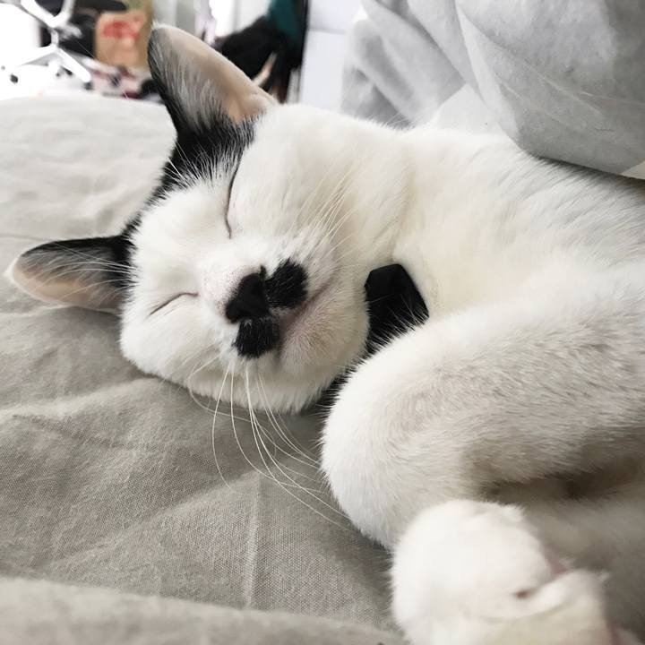 58966350 0d29 4516 a288 aab10c55b54b