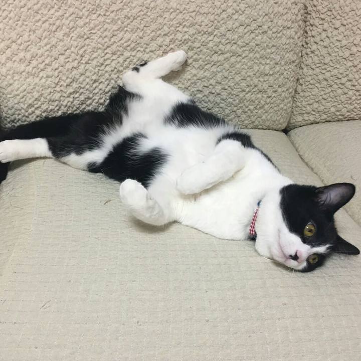 58971ea6 c1d8 4465 922f dd8524b47e63