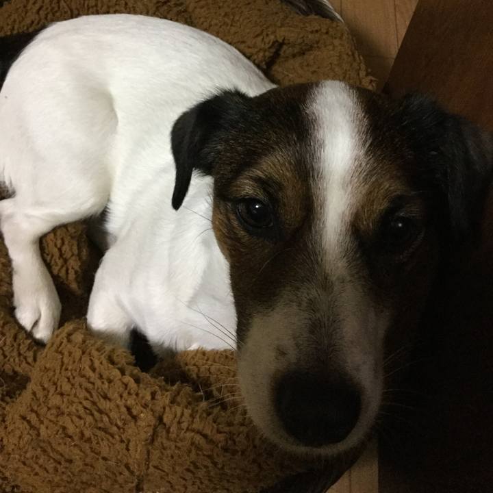 58973b78 1f9a 48d2 92ca b59d687238ab