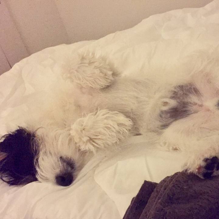 58980aa6 603d 45ad a40c ea0c5ff3246e