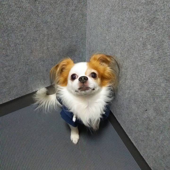 5898b1e9 04df 40cc a935 efb409dc9a08