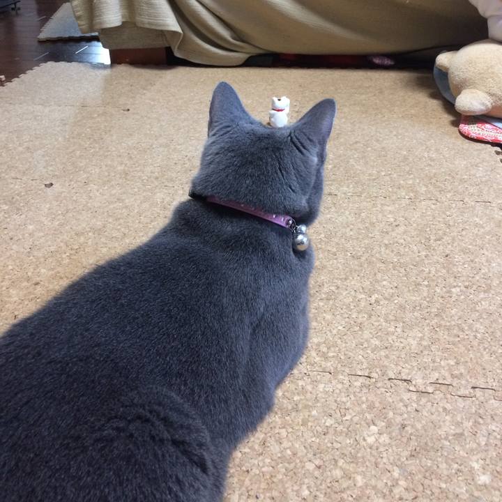 5899415c 8e77 4a28 acce 1eb2a801f239