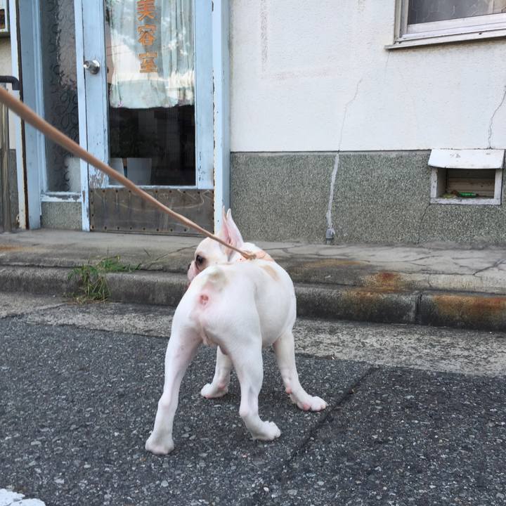 58999412 ea38 4634 be9b 03537932c227