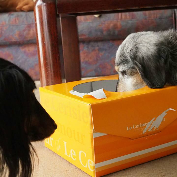 5899c46e d677 4b65 b4be f59700e53852