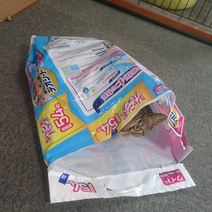 5899c733 41e0 407f a67a ed1a5c754b22