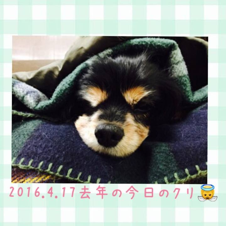 5899e232 78e9 4320 99fe fa8e60ff4e29