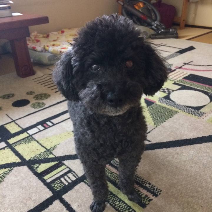 5899f36d a6d1 48bc a632 8f1851652319