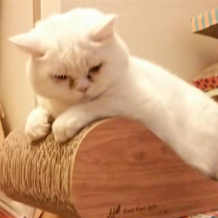 5899ff27 8685 41a6 a863 96dce84d5648