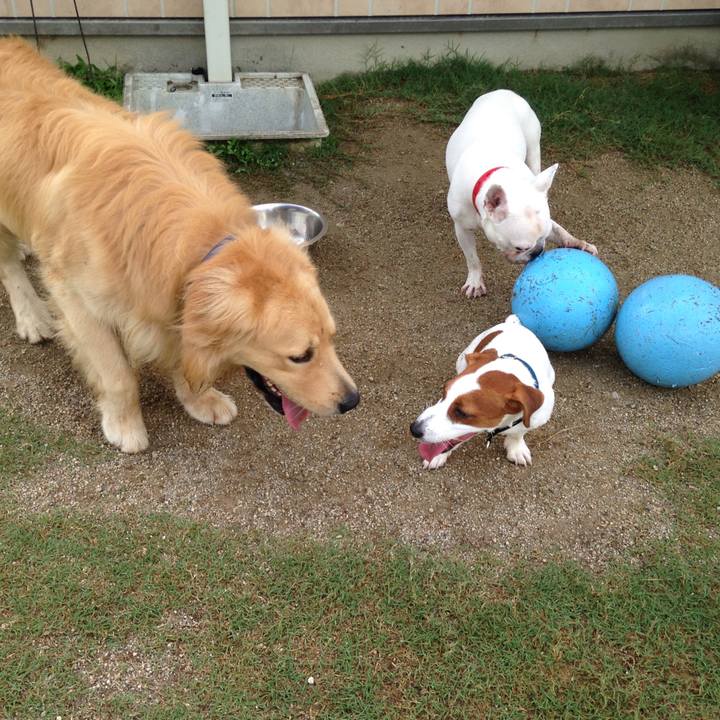 589b80e6 89f7 4e1b 9aec a8c9e8b07a9e