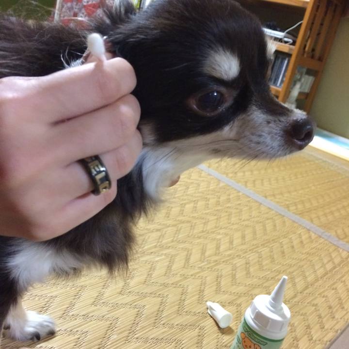 589b8302 923b 4f74 82f7 50d4b9019260