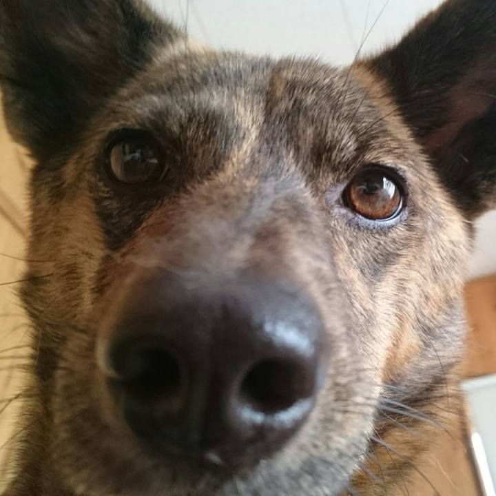 589bceed 1c2a 4fcd b54c 55bde27983ac