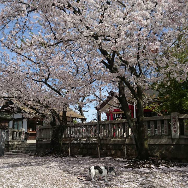 589bd507 1bd6 4a85 b909 b3b8e40f8d00