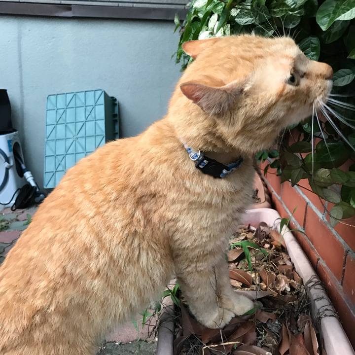 589bf0eb 9305 4c8e 812d 2931cf9b1954