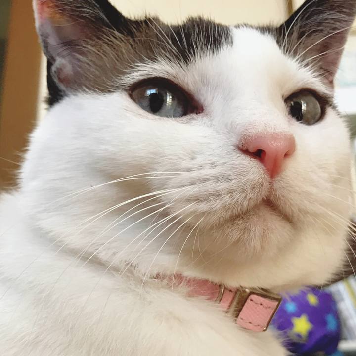 589c6964 d368 4c95 b5db 44ad6a6d7658