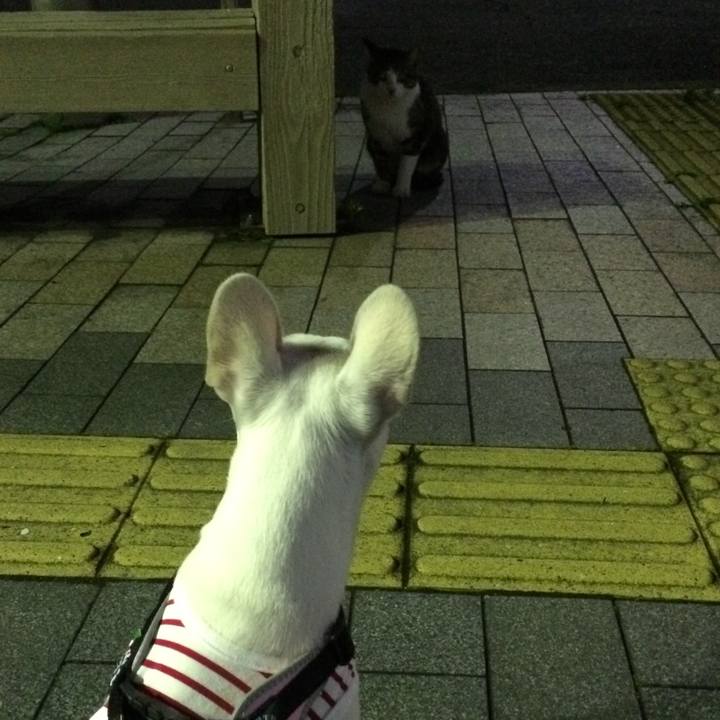 589c8630 0c12 4c7d aa16 a2d9f105cf16