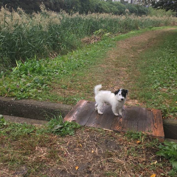 589da167 e3d0 454a 8a67 d5fd0e302adf