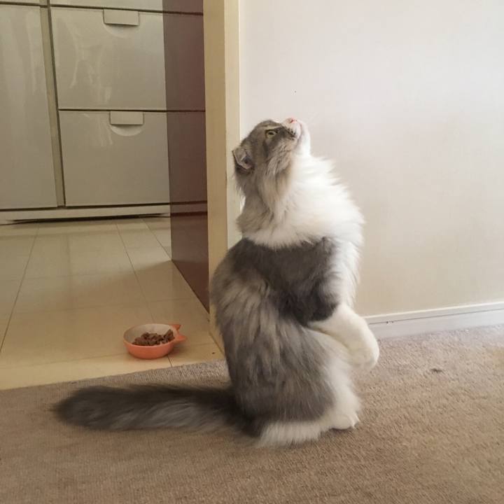 589dde6b 5408 4340 b168 743f432fe3dc