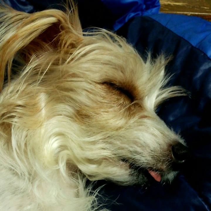 589ea675 e15d 427e 92e9 cfc2752842b3