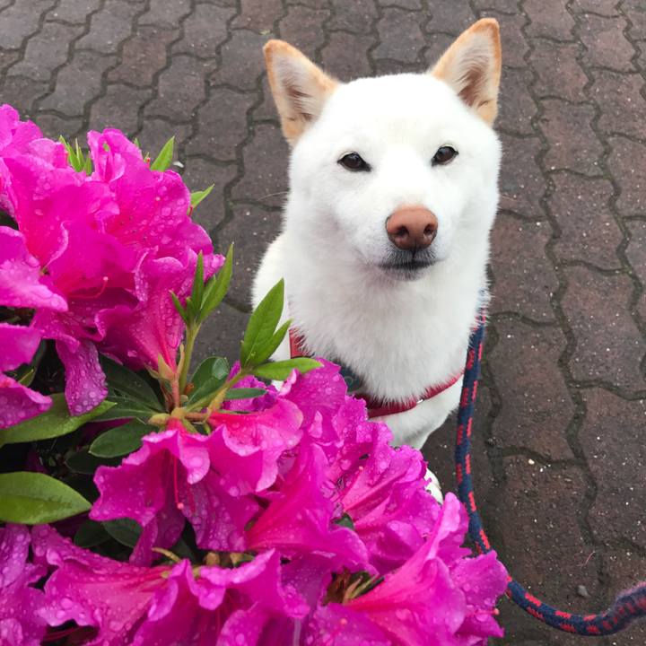 589f28b7 3f82 42d1 a4f9 097d14a0378d