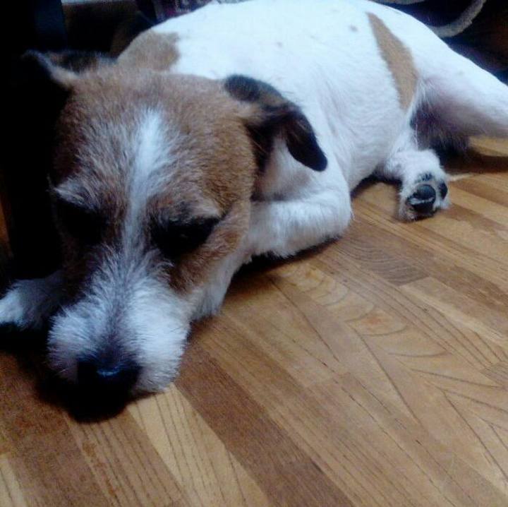 589f54fd e313 49f3 b080 306dfcccf52a