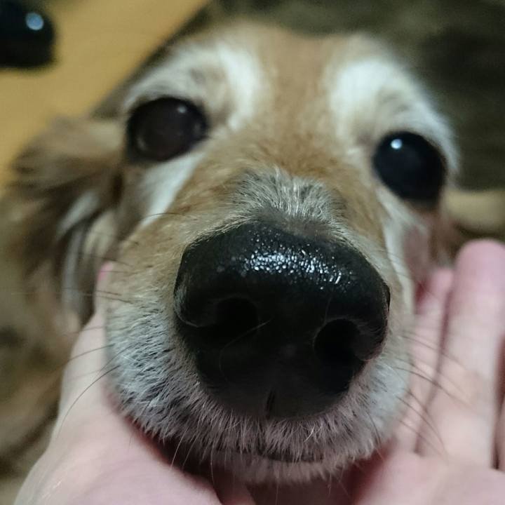 589f85c5 d7bf 4dcc b02f bdebb3a4b26e