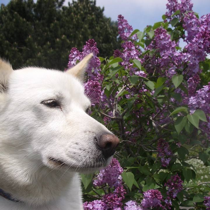 589fc6b2 0c05 499f bb30 123a612b452a