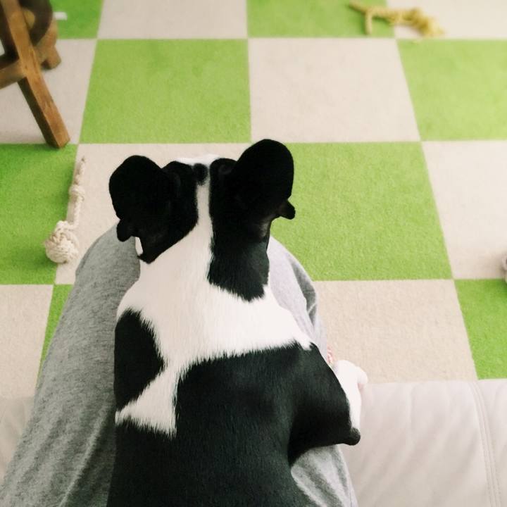 589fcc5f f4cd 4a9b a17a 7c673daf05d8