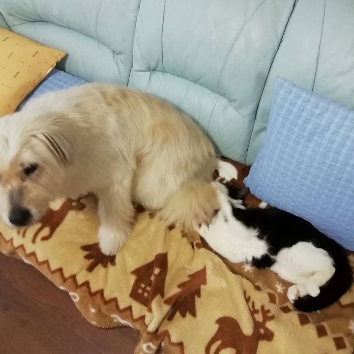 58a08d5b 6a23 4079 9b4c 5d09b735aec7