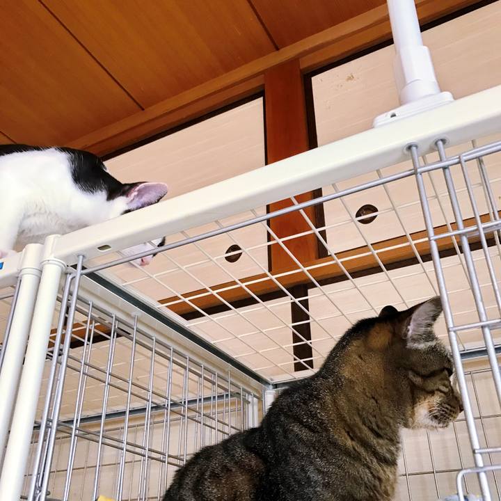 58a0ee5f 75f3 41a8 aa7b f3c9f86acd68