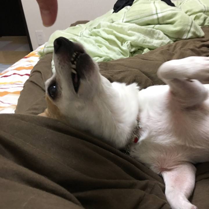 58a1227a 9056 4b8a a849 15f69c9688eb