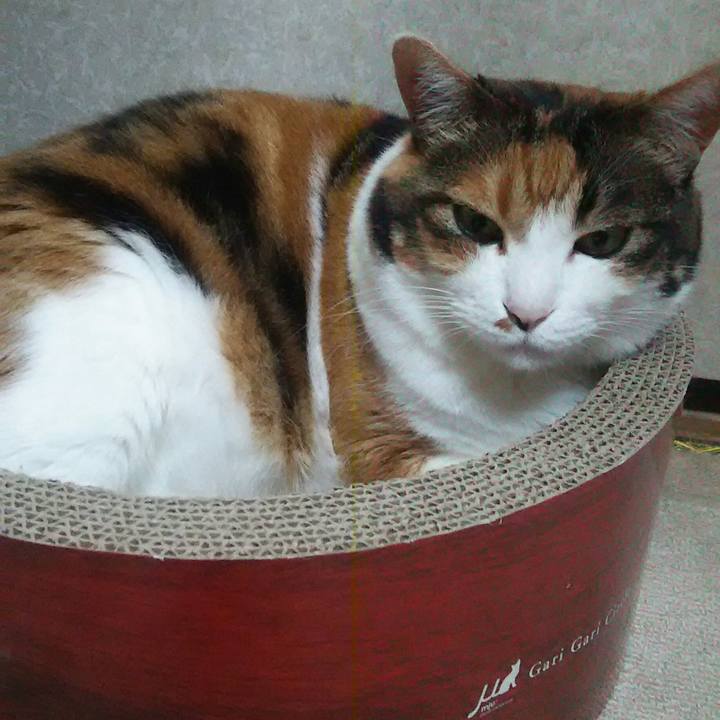 58a188b1 0149 4421 bf11 40bf7984a3b1