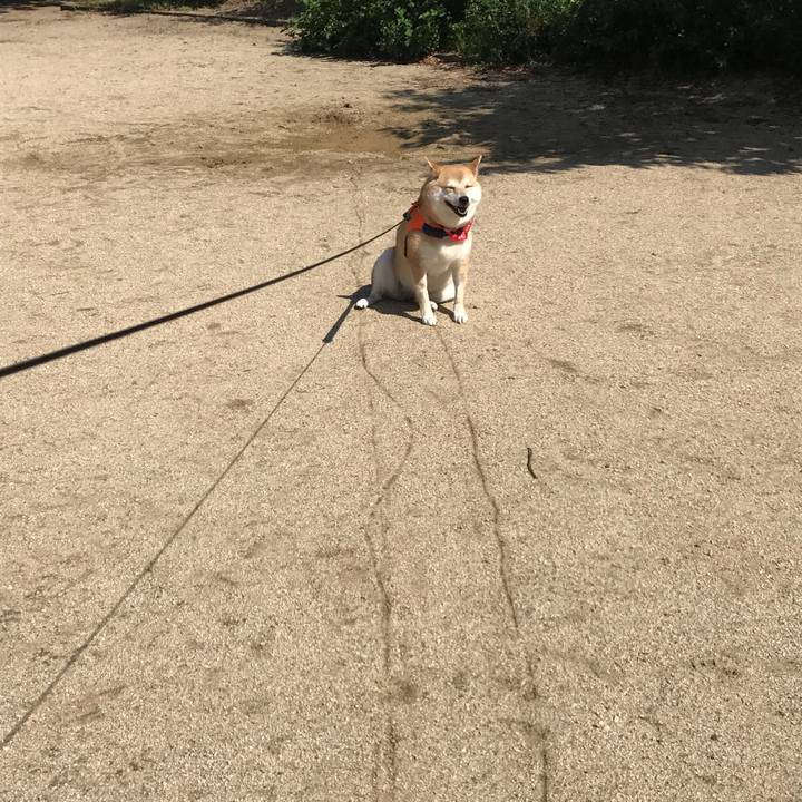 58a1a5ea 37d8 4018 8508 6506591dba17