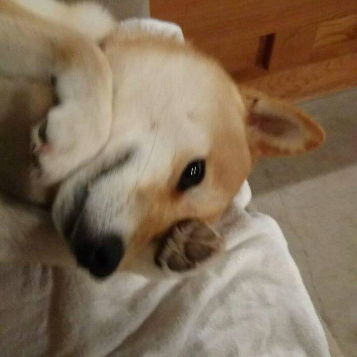 58a1b0a1 1407 4b7c 983a eeb4ff37f004