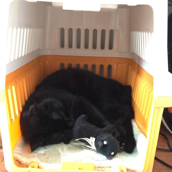 58a1b48f 482d 48d7 9d99 e015eb23e0ca