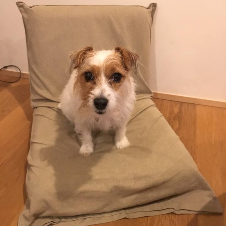 58a2b71e 991e 46fb 92ad cce04398f604