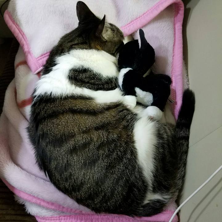 58a41d77 014d 4e40 920e 88a95751add6