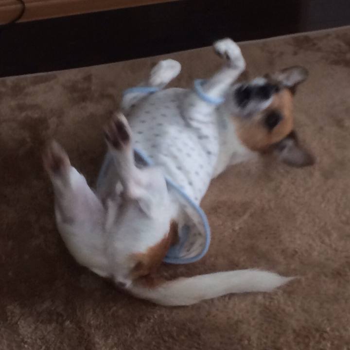 58a43bbb af6f 4343 bc11 ab3140968a7e