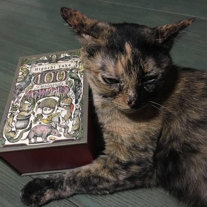 58a44508 0983 4719 b8b0 41b4b52f95db