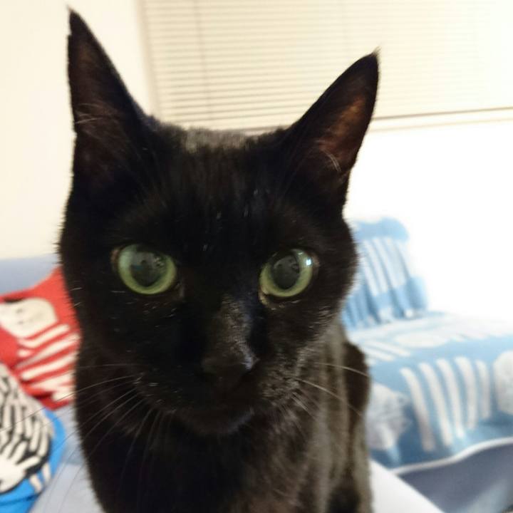 58a49419 8dd8 4bb6 be74 357d8252c596