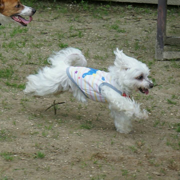 58a4b056 87a9 4f67 a134 db7ccb94d7b2