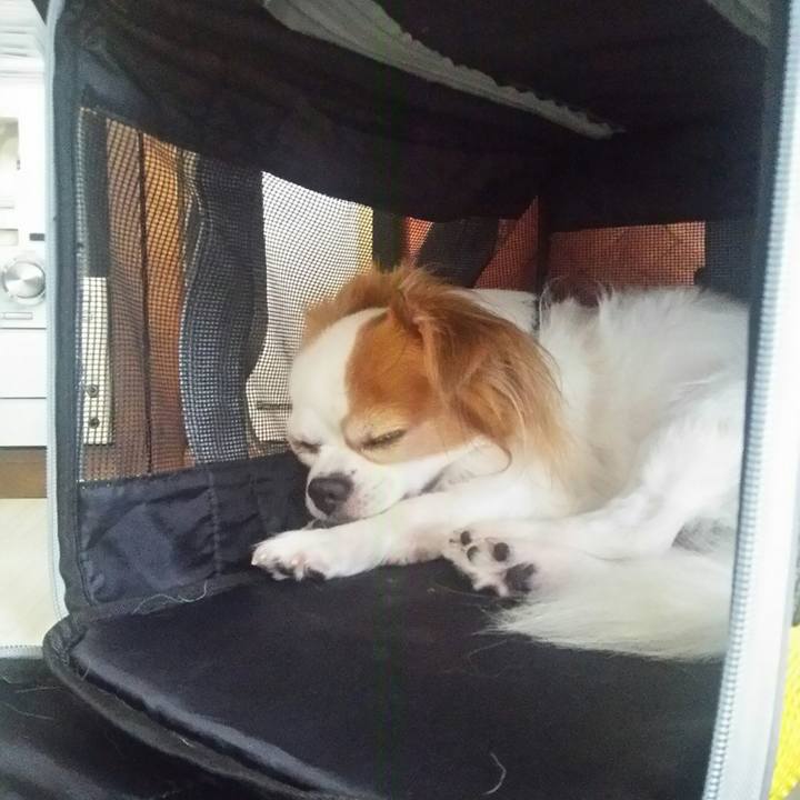 58a4ef0c 3e7e 487e 98bc 871683e0a333