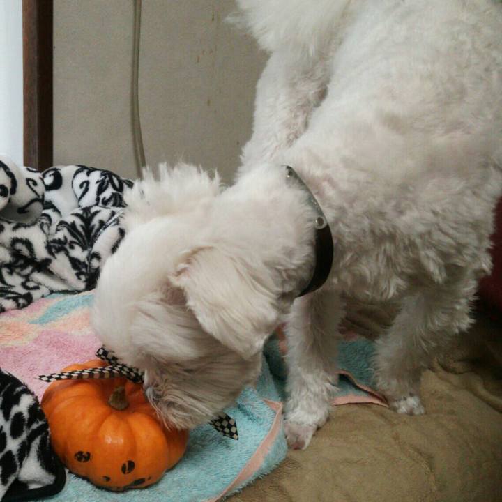 58a57053 3c2a 44fa b136 dcaff34ea398